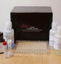 Human growth-regulated oncogeneγ/melanoma growth stimulating activity (GROγ/MGSA) ELISA Kit