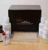 Human Endocrine Gland-Vascular Endothelial Growth Factor ELISA Kit