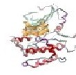 SLK di-phosphorylated + K00546