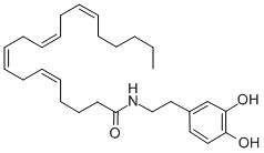 N-[2-(3,4-Dihydroxyphenyl)ethyl]-5Z,8Z,11Z,14Z-eicosatetraenamide