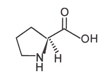 L-Proline