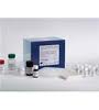 Kit of ELISA to determination of concentration of Prostacyclin I2 in mice and/or human