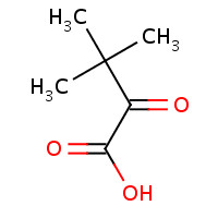 3,3-Dimethyl-2-oxobutanoic acid