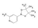 2-methylpyridine-4-boronic acid pinacol ester