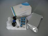 Melatonin sulfate elisa kit