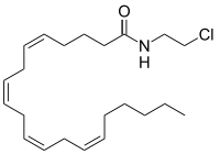 ACEA (Arachidonyl-2-chloroethylamide)