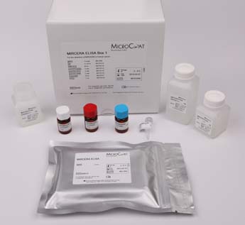 AGE kit ELISA assay