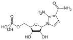 AICAR (aminoimidazole carboxamide ribonucleotide)