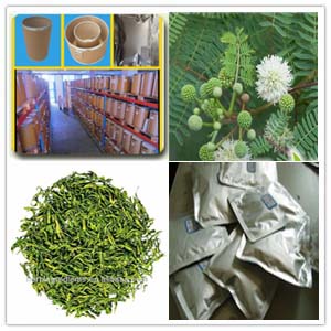 Acacia Catechu Extract