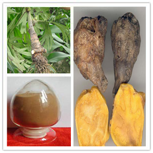 Aconite Extract