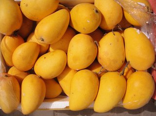 African Mango Extract