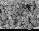 Ag nanopowder