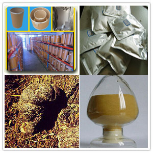 Agaric extract(Polyporus Extract)