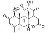 Ailanthone