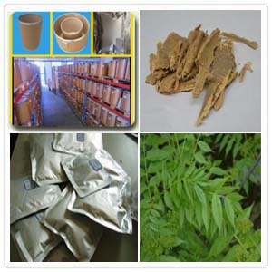 Ailanthus Altissima Extract