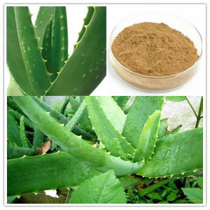 Aloe Barbadensis Extract