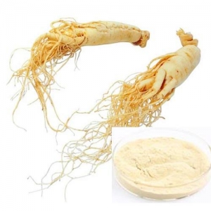 American Ginseng Powder