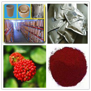 American ginseng beery extract