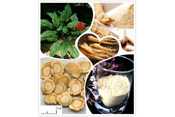 American ginseng stem leaf extract