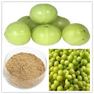 Amla Extract