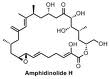 Amphidinolide H