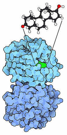 Anabolic steroid