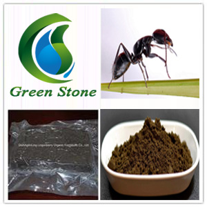 Ant Extract