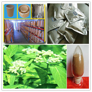 Antifeverile Dichroa Root Extract