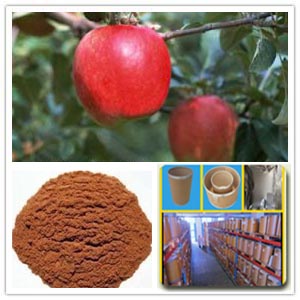 Apple Cider Vinegar Extract