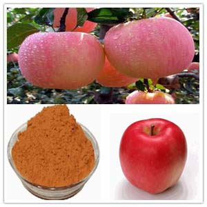 Apple Extract