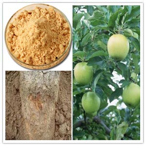 Apple Root Bark Extract