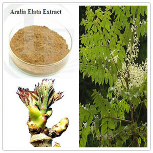 Aralia Elata Extract