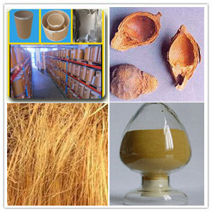 Areca Peel Extract