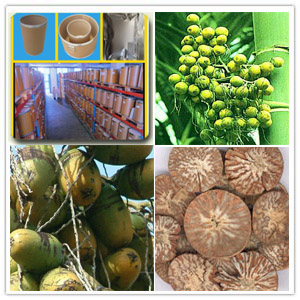 Areca seed Extract(Semen Arecae Extract)