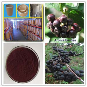 Aronia  Extract