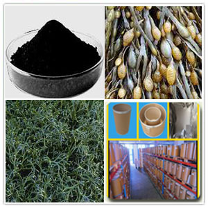 Ascophyllum Nodosum Extract