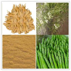 Asparagus Cochinchinensis extract