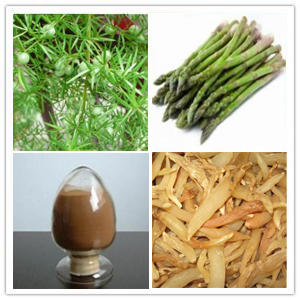 Asparagus Root Extract