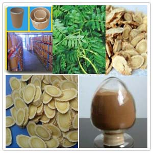 Astragalus Membranaceus Extract