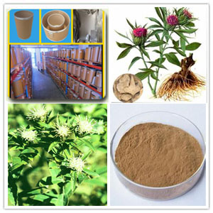 Atractylodes Rhizome Extract (Rhizoma Atractylodis Extract)