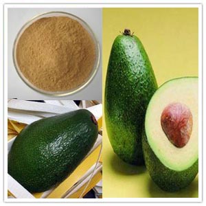 Avocado Extract