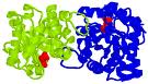 Bacillus Expression Systems