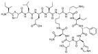 Bacitracin