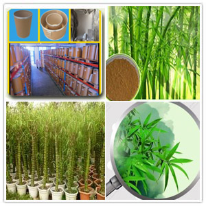 Bambusa Vulgaris Extract