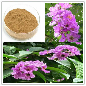 Banaba leaf Extract