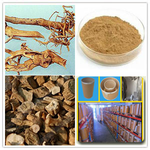 Baphicacanthus Root Extract