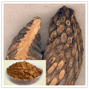 Basket Fern Extract