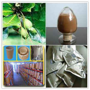 Beleric Terminalia Root Extract