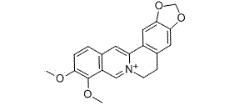 Berberine