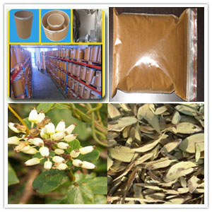 Berchemia Lineata Root Extract